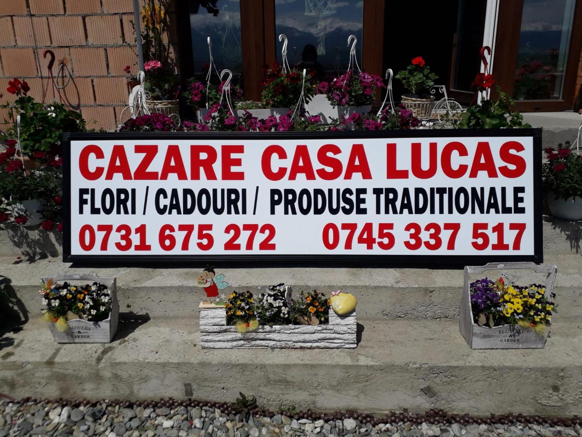 Casa Lucas Hotel Bradu  Luaran gambar
